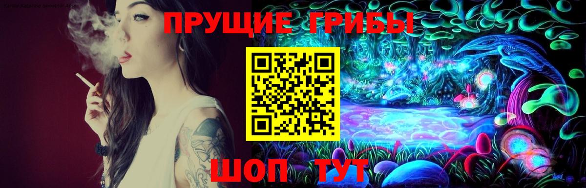 сколько стоит  Псилоцибиновые грибы мицелий  Вичуга  Вход с VPN  Псилоцибиновые грибы Magic Shrooms 